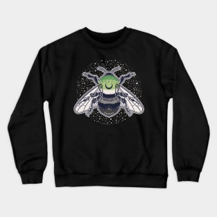 Aromantic Bee Proud LGBT Pride Flag Crewneck Sweatshirt